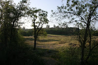 Trail Starting Out Photo