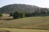 Clearing 1 Photo