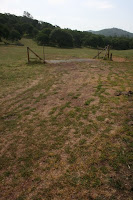 Clearing 3 Photo