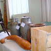 AmostraCulturalMariaSofia-06.JPG