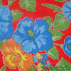 havaianafestxango-009.jpg