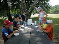passvac2010 