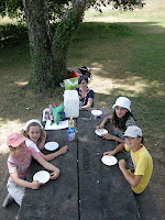passvac2010 