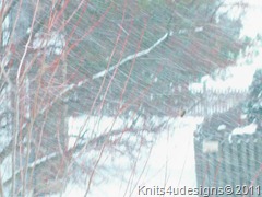blizzard4 blizzard4