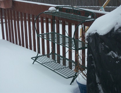 blizzard6 blizzard6