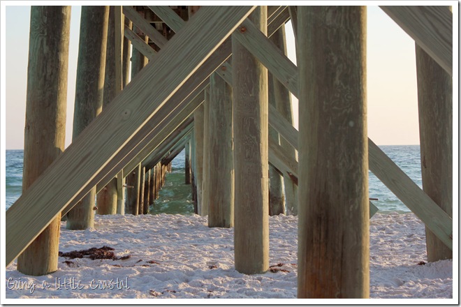 under-the-pier