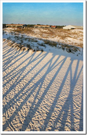 pier-shadows pier-shadows