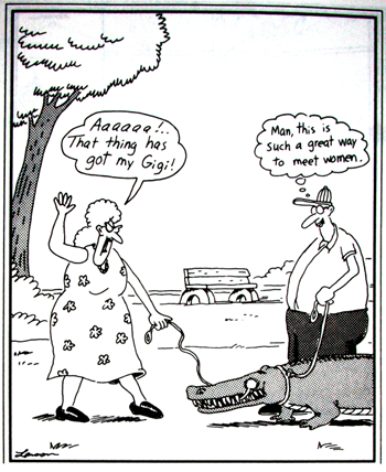 Gary Larson Cartoons Images Gary Larson Cartoons Images