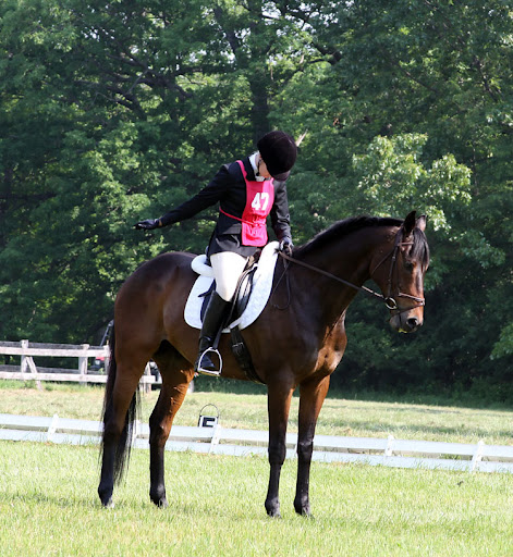 IMAGE: http://lh6.ggpht.com/_aleubAxufQ4/TAJYm8KYlPI/AAAAAAAAAvg/H2qmP4cPByw/s512/206.jpg