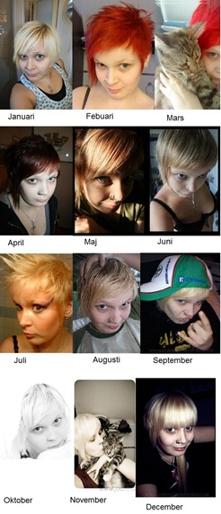 2010