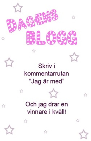 dagens blogg_thumb[2]