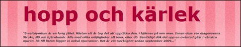 Skärmklipp