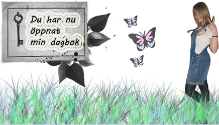 Skärmklipp