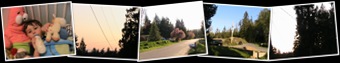 View Spring 2009
