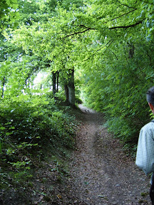 walk_29_am_path_up_to_ridge_after_lunch.jpg.JPG