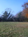 S4300552.JPG 