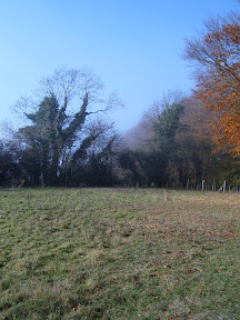S4300552.JPG 