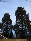 S4301741.JPG 