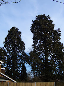 S4301741.JPG 