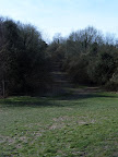 S4301732.JPG 