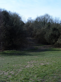 S4301732.JPG 