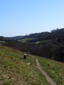 S4301735.JPG 