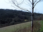 S4301736.JPG 