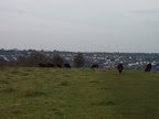 S4301745.JPG 