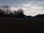 S4300916.JPG 