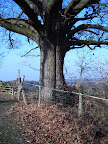 S4300919.JPG 