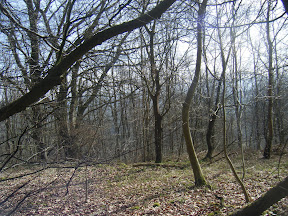DSCF1875.JPG 