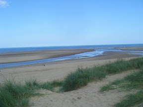DSCF2446.JPG 