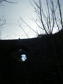 DSCF1443.JPG 