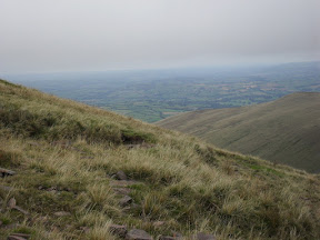 SDC10049.JPG 