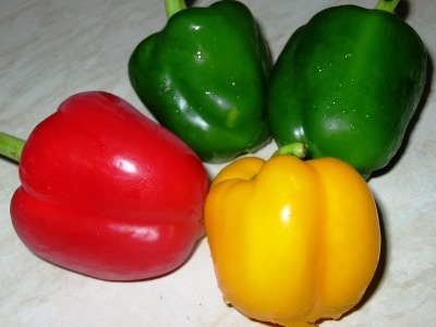 [capsicum[2].jpg]