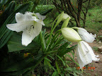 DSCN1949.jpg