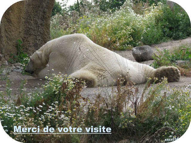 http://lh6.ggpht.com/_as5rADQJ9-0/TOv2_hEUXsI/AAAAAAAAEas/AyzBXVzuOdY/s640/IMG_4242.JPG
