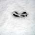 This is a clue that it's too cold outside.
