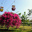 Phong cảnh núi Bà Đen Tây Ninh