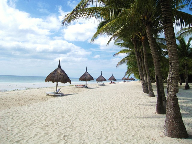 [IMG_75341.jpg]
