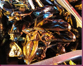 wororot market fried insects