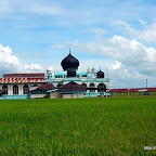 mosque-middle-padi-field-alor-setar-kedah