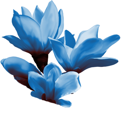 http://lh6.ggpht.com/_av30HYh5DLw/S5ICR6wcvaI/AAAAAAAAEPI/TnDMZhBbdAA/s00/carlaperlin%20FLOWERS.png