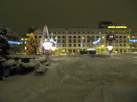 IMG_3848.jpg