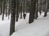 IMG_4858.jpg