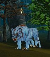 http://lh6.ggpht.com/_avCv3sod1aY/SsJgU-m4XMI/AAAAAAAAAp4/Neb6wr-yMas/Viho.jpg