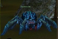 http://lh6.ggpht.com/_avCv3sod1aY/SsJgUgFd9jI/AAAAAAAAApw/yH98pY0GP8g/TarantulaSaki.jpg