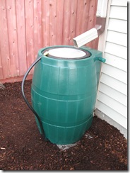 Rain Barrel