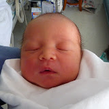 24 Jan 2009