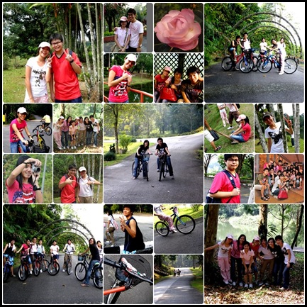 Bkt Cahaya